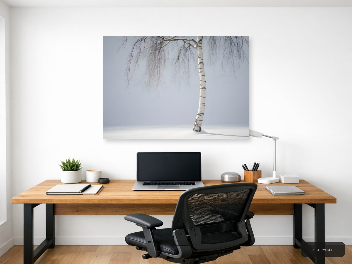 Minimalist Winter Birch Tree in Snow Landscape Wall Art — A1 / Office