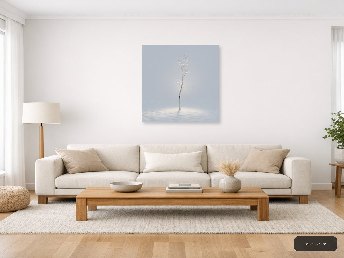 Minimalist Frosted Birch Tree Winter Wall Art — A2 / Living Room