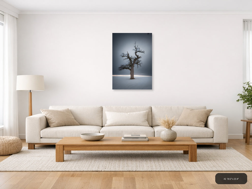 Bare Dead Tree in Snow Storm Photography Wall Art — A2 / Living Room