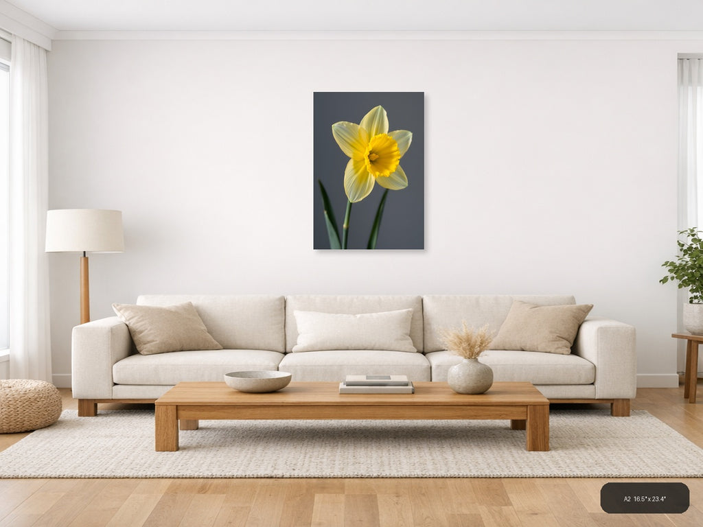 Yellow Daffodil Minimalist Flower Portrait Wall Art — A2 / Living Room