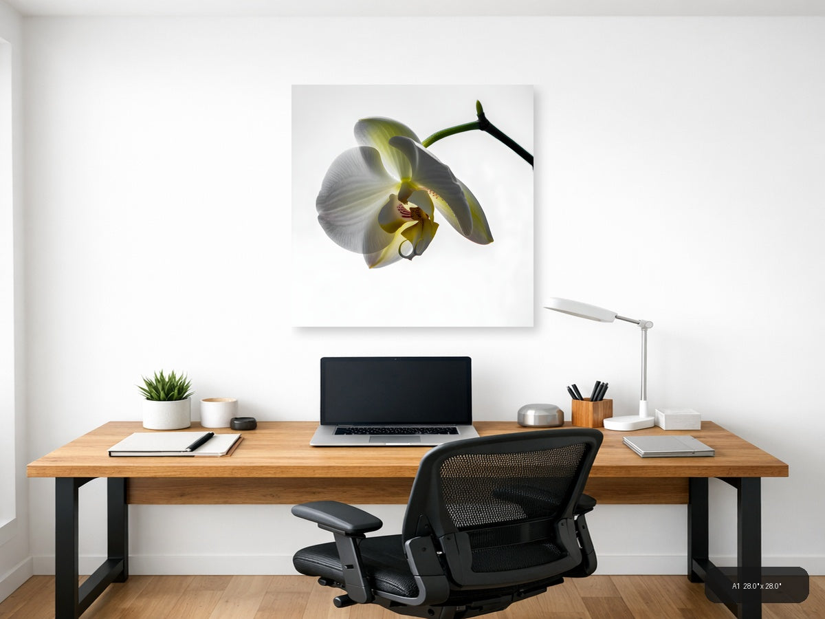 White Orchid Flower Minimalist Botanical Wall Art — A1 / Office