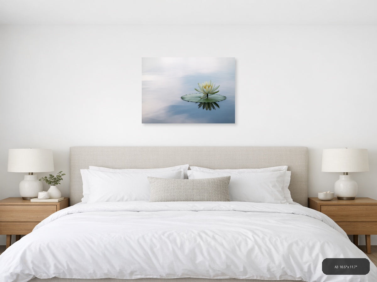 White Water Lily Reflection Minimalist Wall Art — A3 / Bedroom