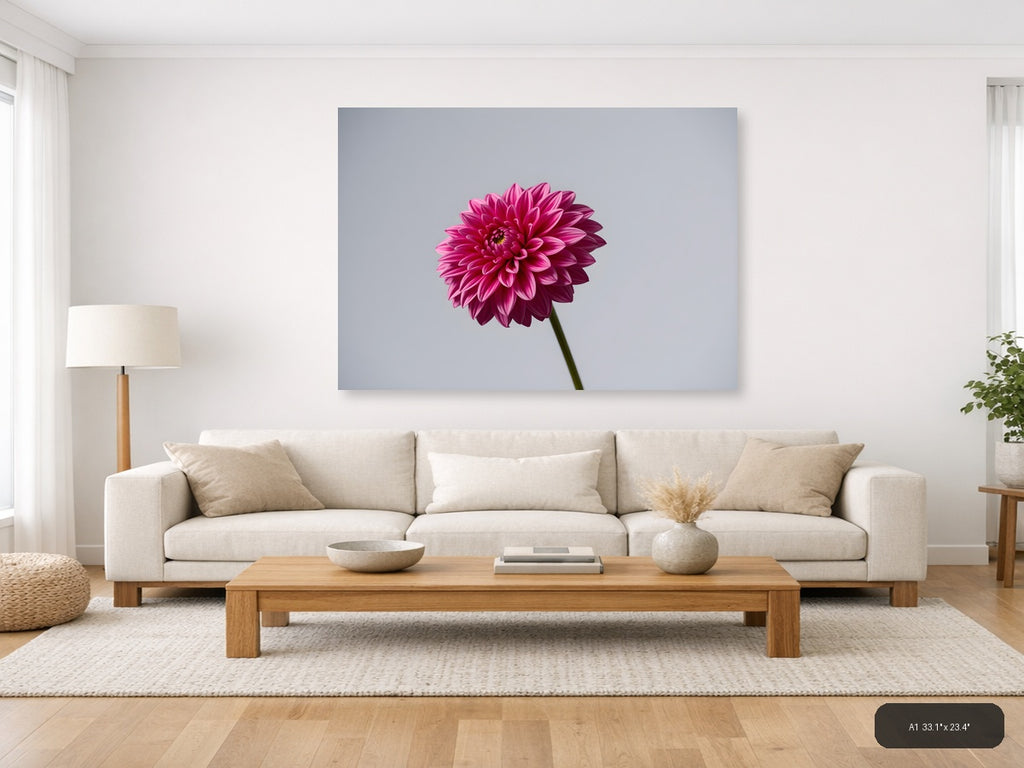Pink Dahlia Minimalist Flower Wall Art — A1 / Living Room