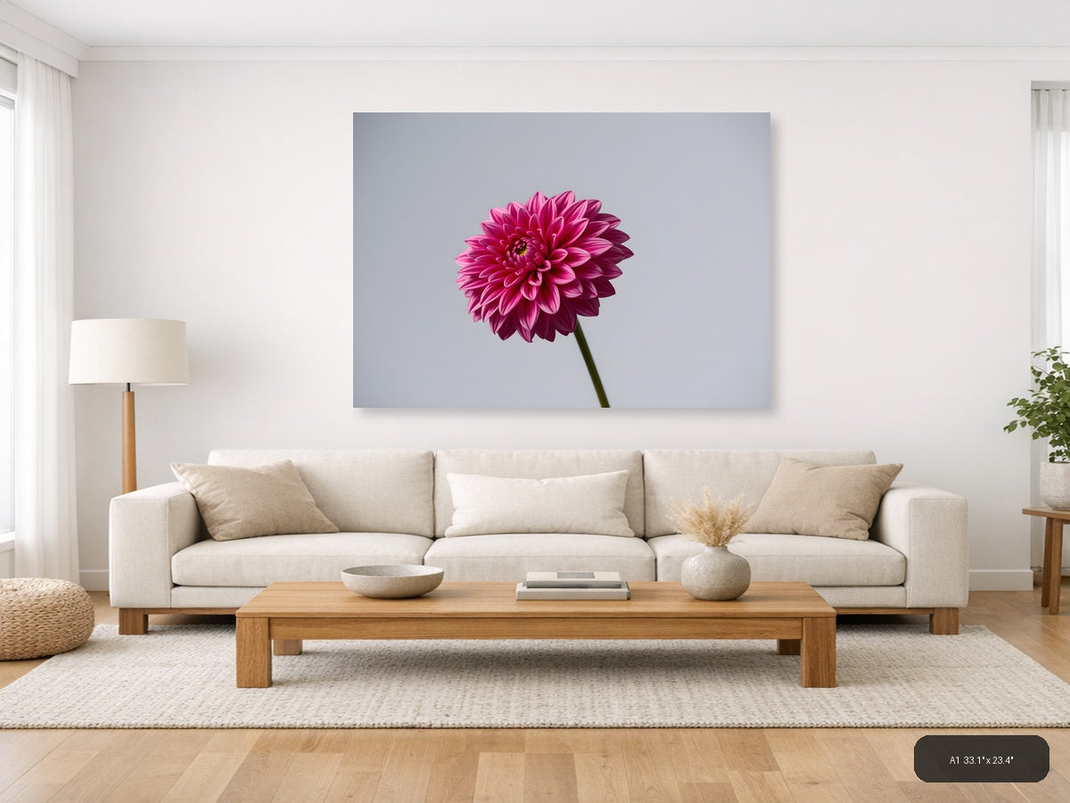 Pink Dahlia Minimalist Flower Wall Art — A1 / Living Room