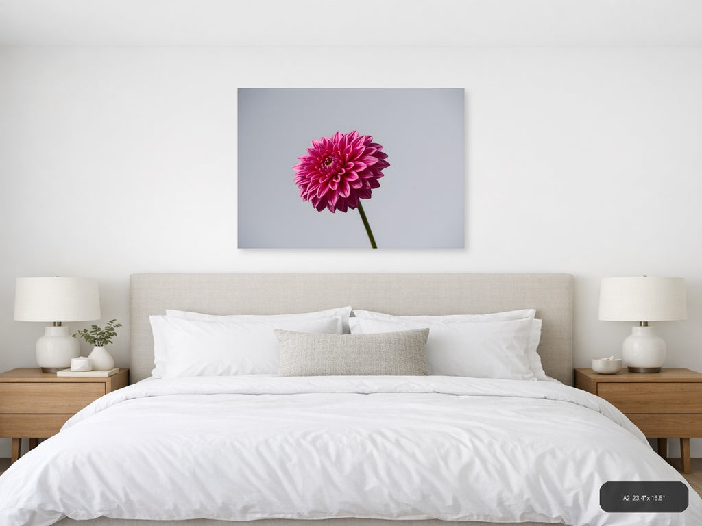 Pink Dahlia Minimalist Flower Wall Art — A2 / Bedroom
