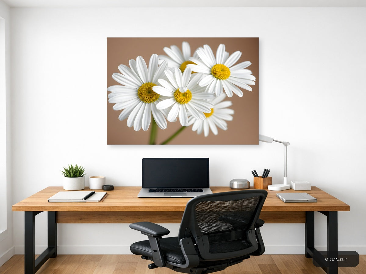 White Daisies with Yellow Centers Minimalist Wall Art — A1 / Office
