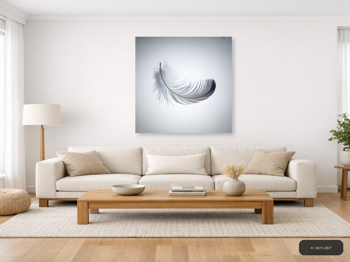 Minimalist Gray Feather Floating Wall Art — A1 / Living Room