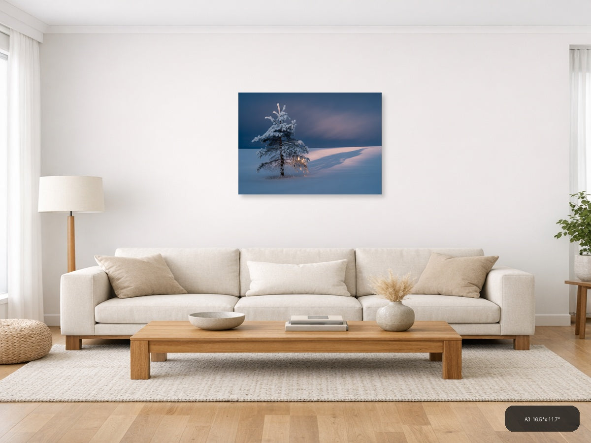 Frost-Covered Pine Tree in Winter Landscape Photography Wall Art — A3 / Living Room