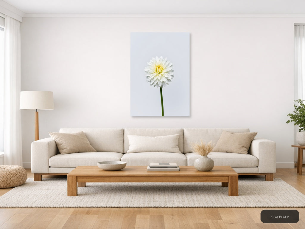 White Dahlia with Yellow Center Minimalist Wall Art — A1 / Living Room