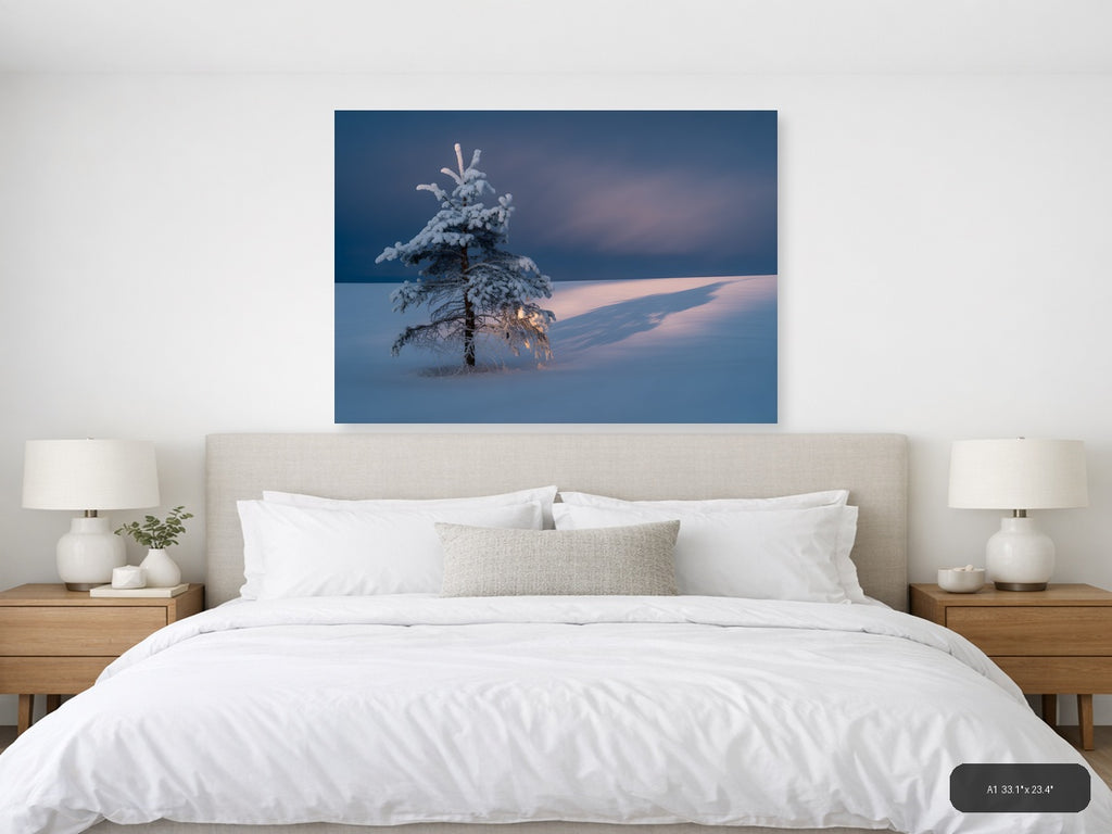Frost-Covered Pine Tree in Winter Landscape Photography Wall Art — A1 / Bedroom