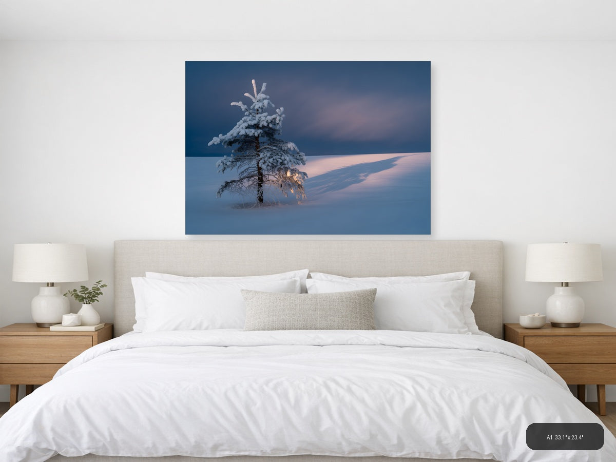 Frost-Covered Pine Tree in Winter Landscape Photography Wall Art — A1 / Bedroom