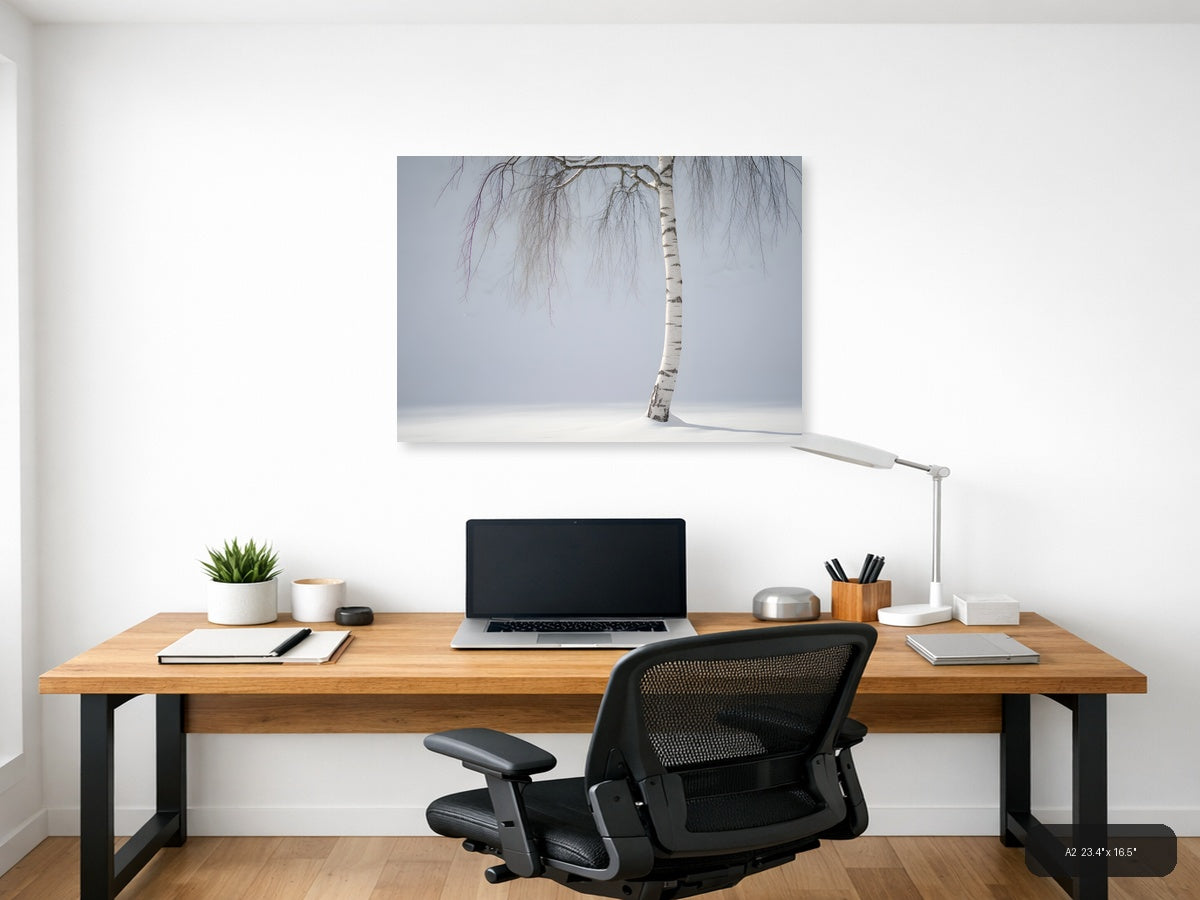 Minimalist Winter Birch Tree in Snow Landscape Wall Art — A2 / Office