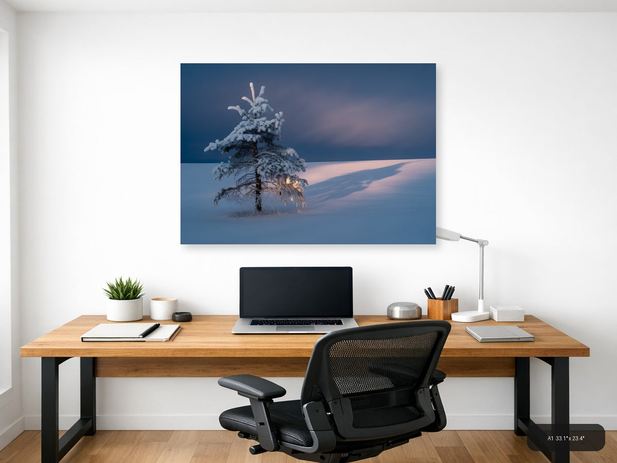 Frost-Covered Pine Tree in Winter Landscape Photography Wall Art — A1 / Office