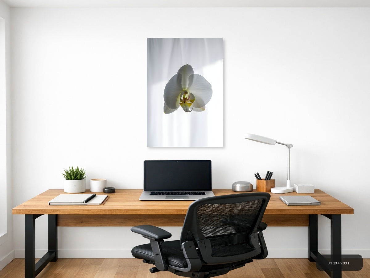 White Orchid Minimalist Botanical Portrait Wall Art — A1 / Office