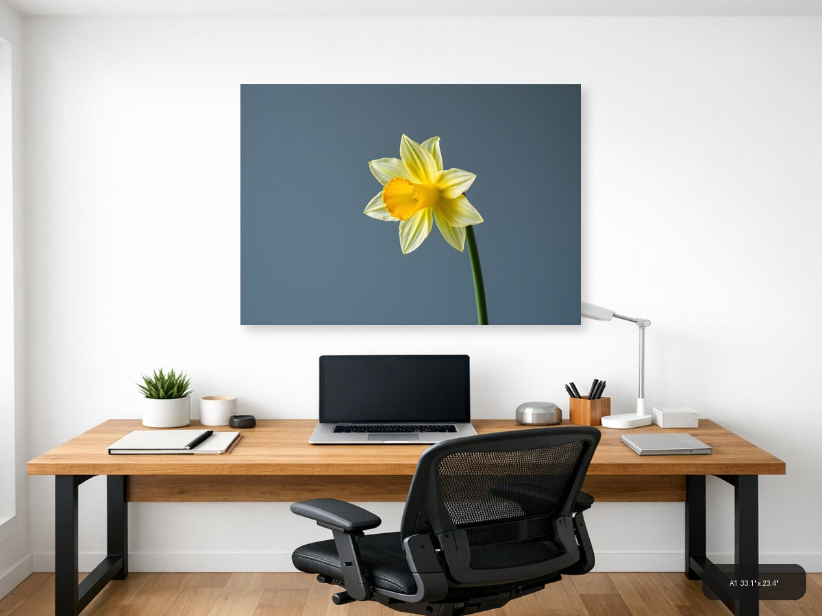 Yellow Daffodil Minimalist Flower Wall Art — A1 / Office