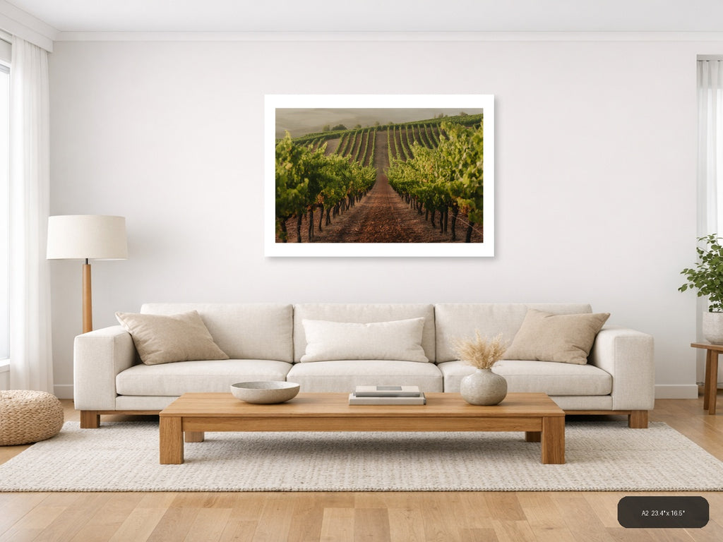 Misty Vineyard Rows Minimalist Landscape Wall Art — A2 / Living Room