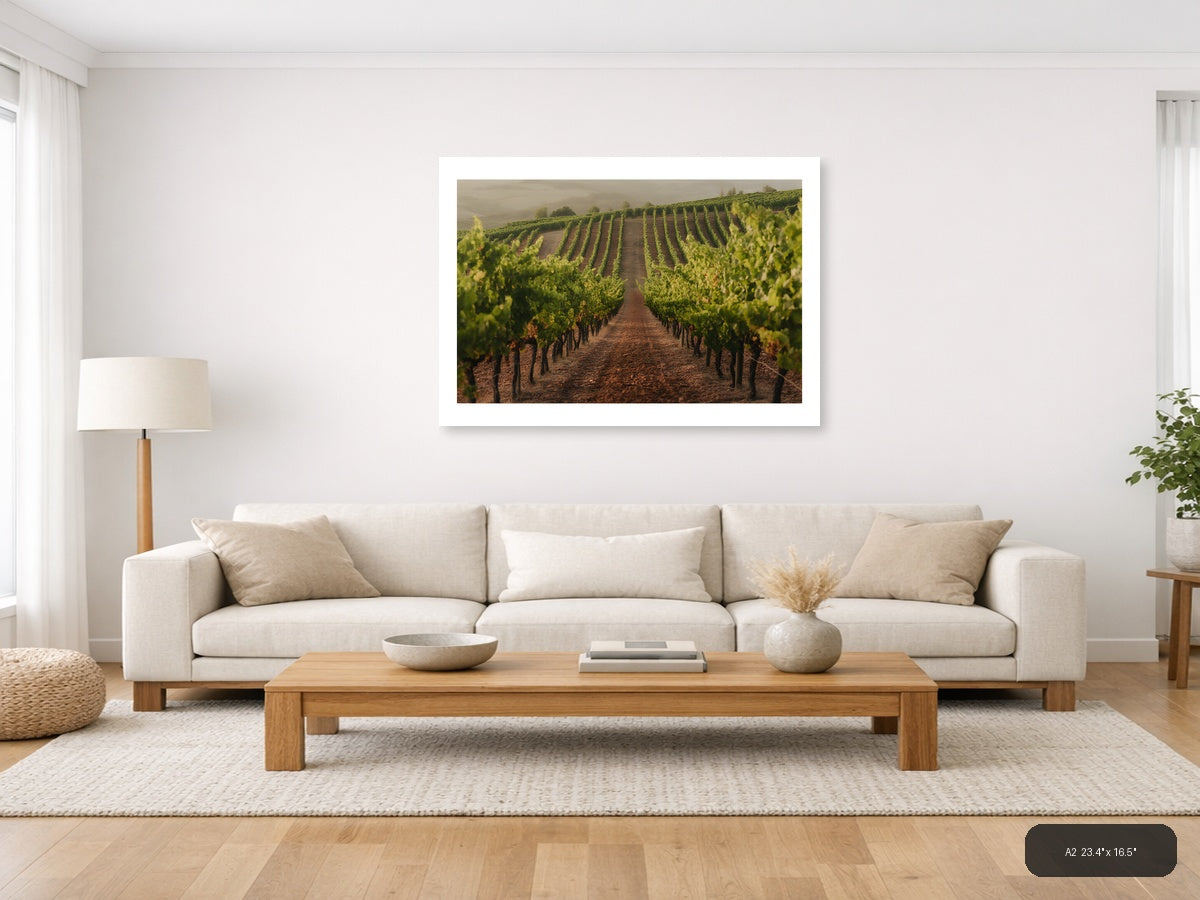 Misty Vineyard Rows Minimalist Landscape Wall Art — A2 / Living Room