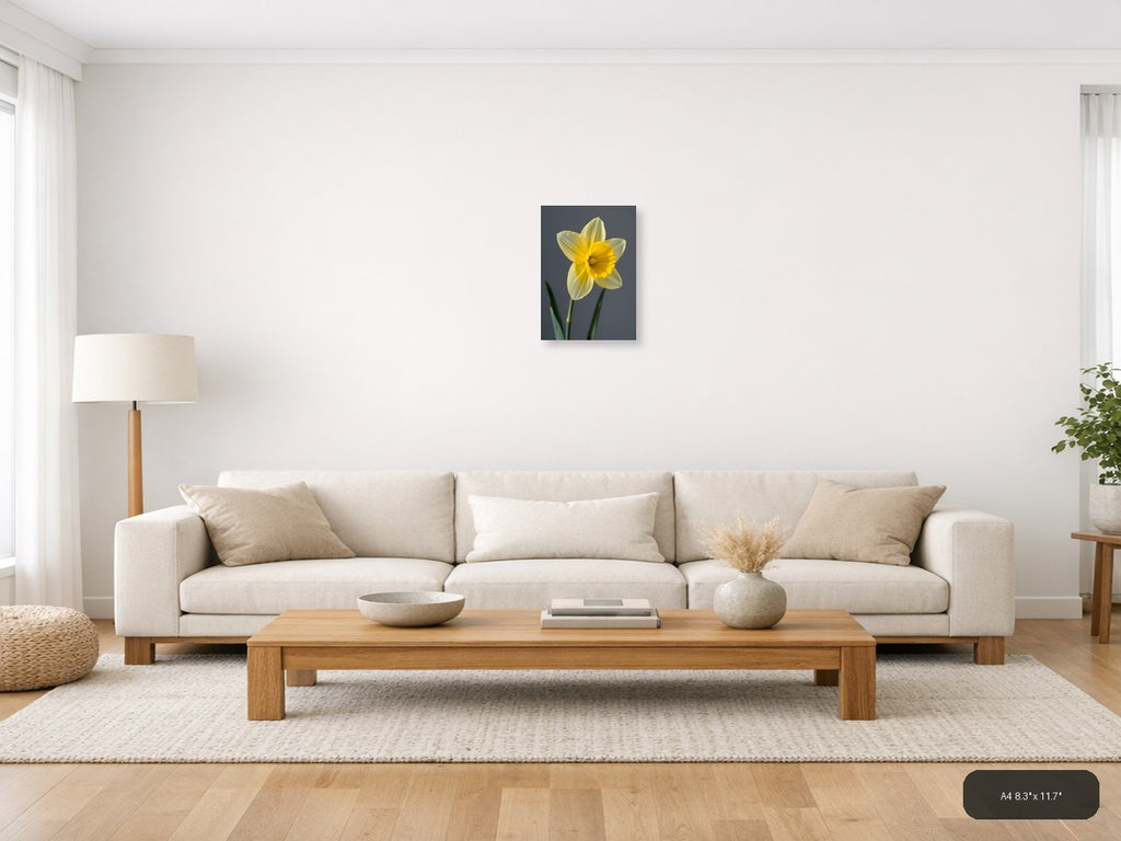 Yellow Daffodil Minimalist Flower Portrait Wall Art — A4 / Living Room