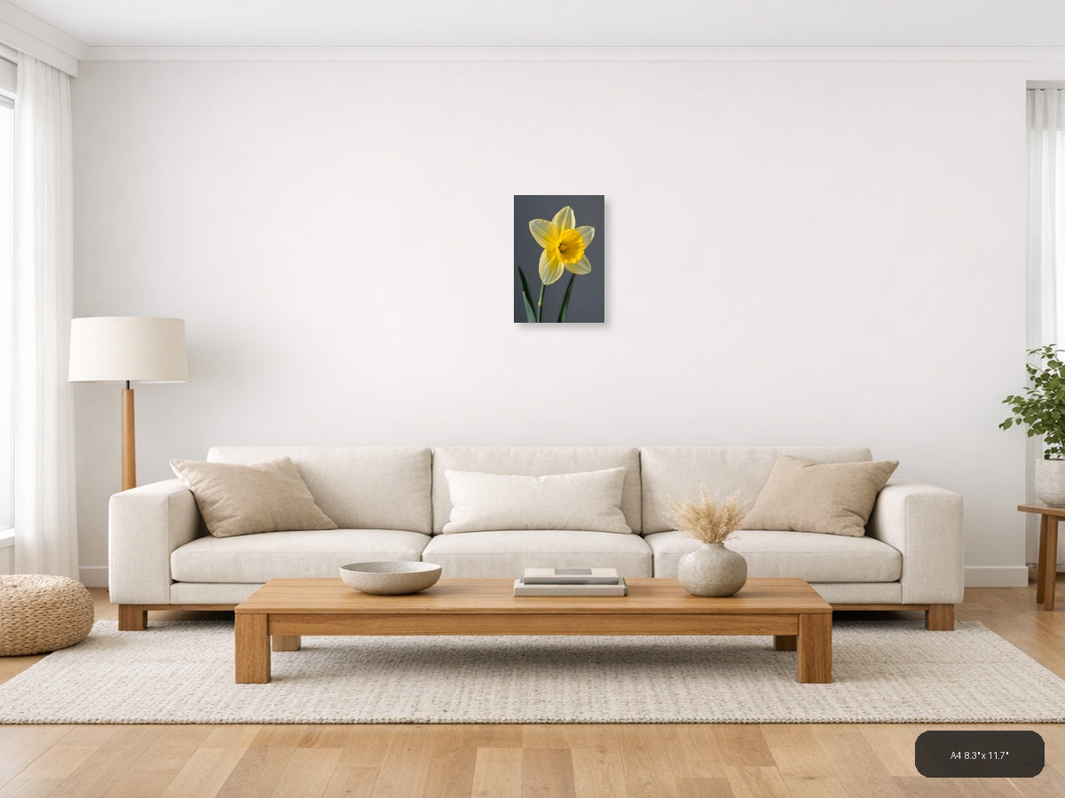 Yellow Daffodil Minimalist Flower Portrait Wall Art — A4 / Living Room
