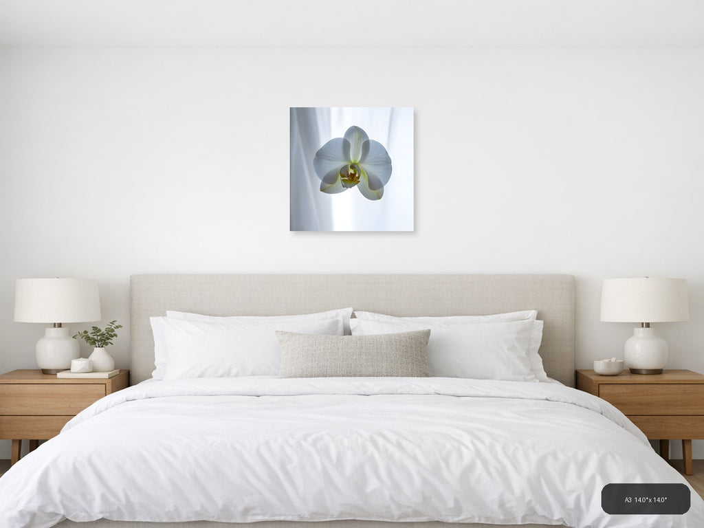 White Orchid Minimalist Botanical Wall Art — A3 / Bedroom