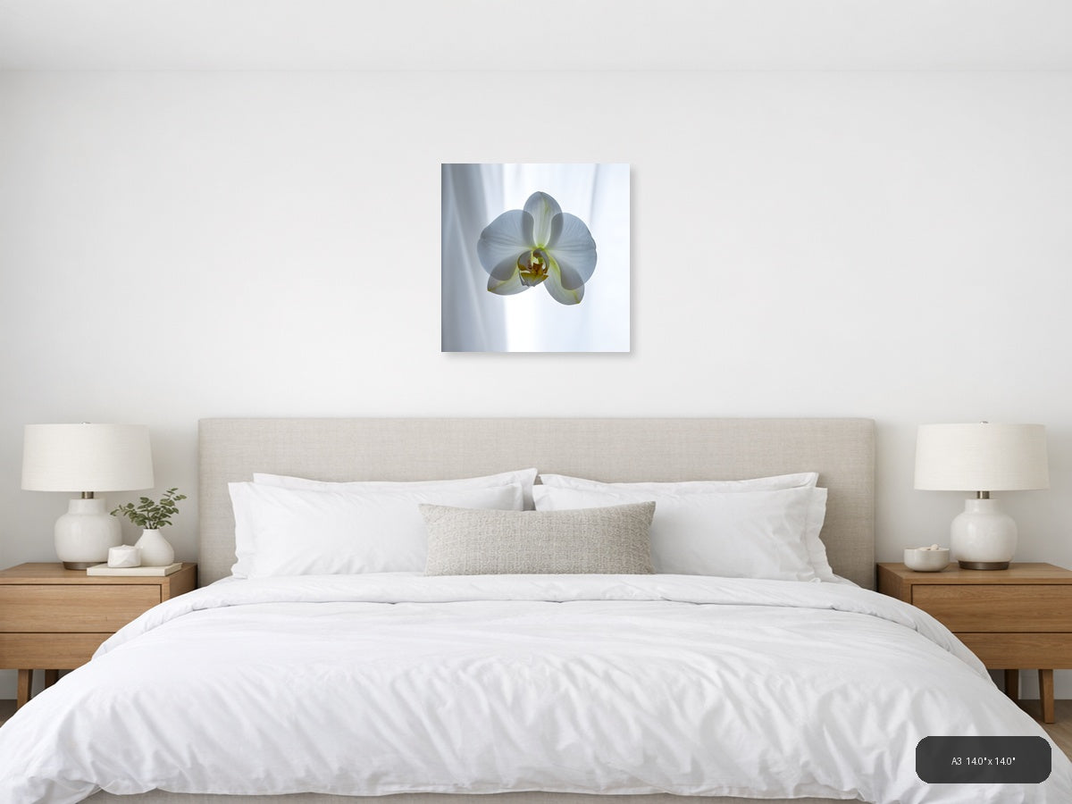 White Orchid Minimalist Botanical Wall Art — A3 / Bedroom