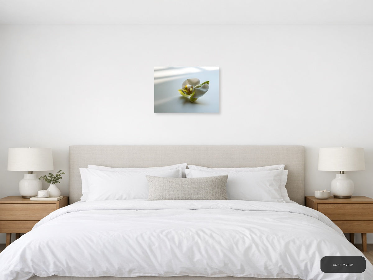 White Orchid with Yellow Center Minimalist Wall Art — A4 / Bedroom