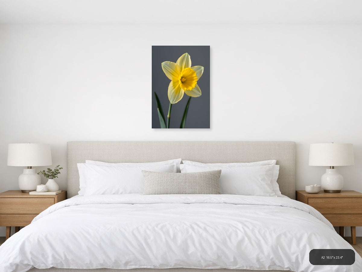 Yellow Daffodil Minimalist Flower Portrait Wall Art — A2 / Bedroom