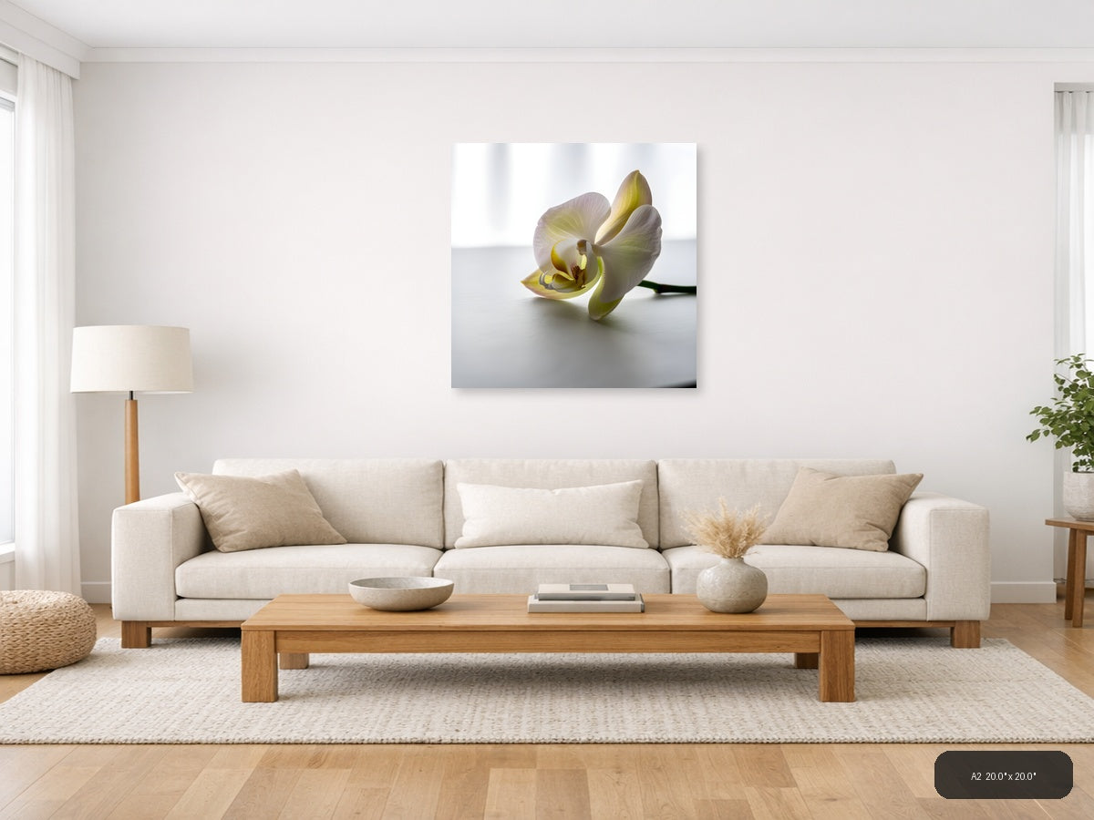 Minimalist Yellow Orchid Flower Wall Art — A2 / Living Room