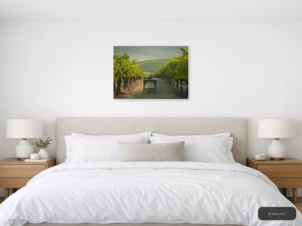 Vineyard Harvest Minimalist Landscape Wall Art — A3 / Bedroom