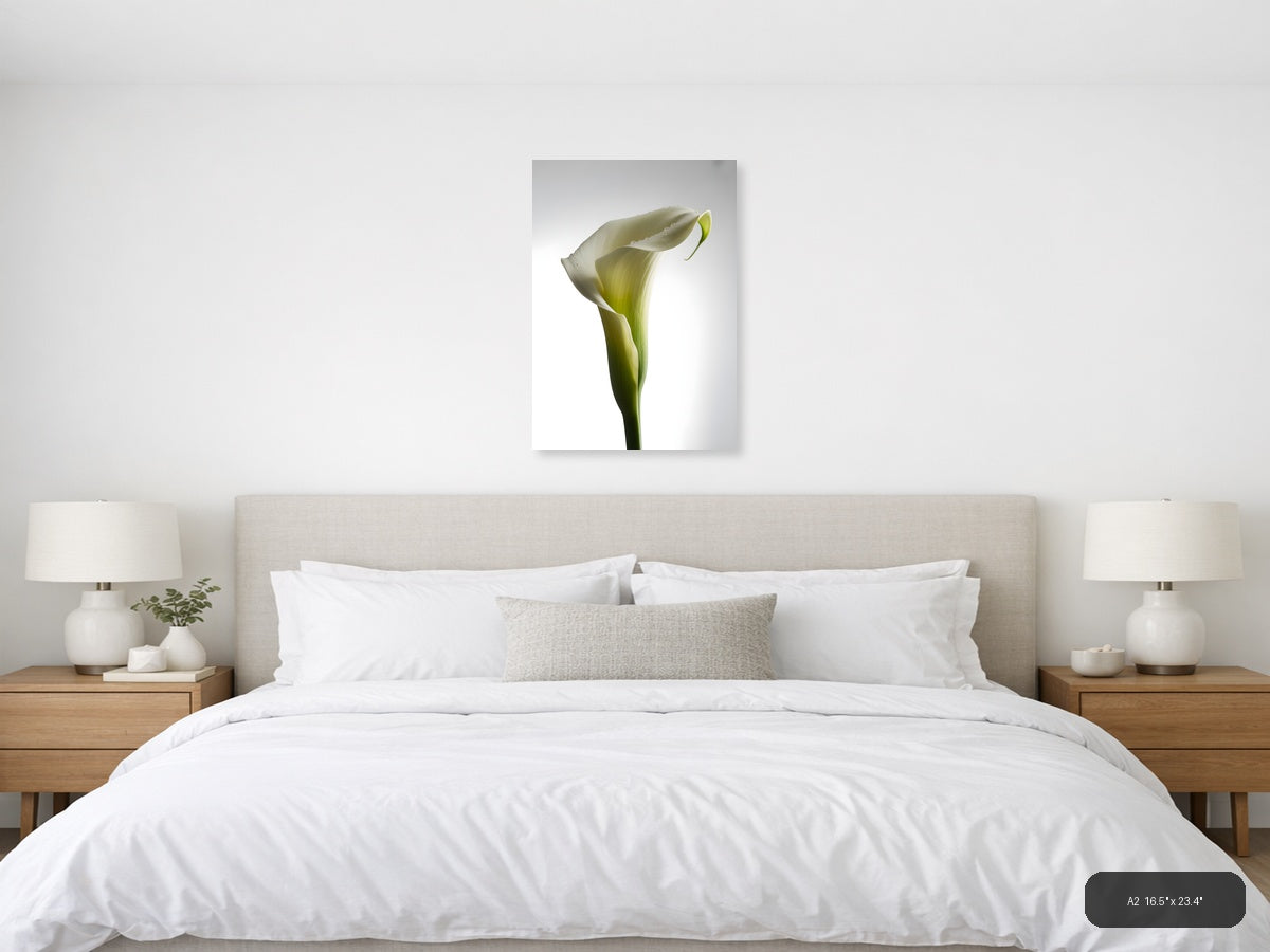 White Calla Lily with Dew Drops Minimalist Wall Art — A2 / Bedroom