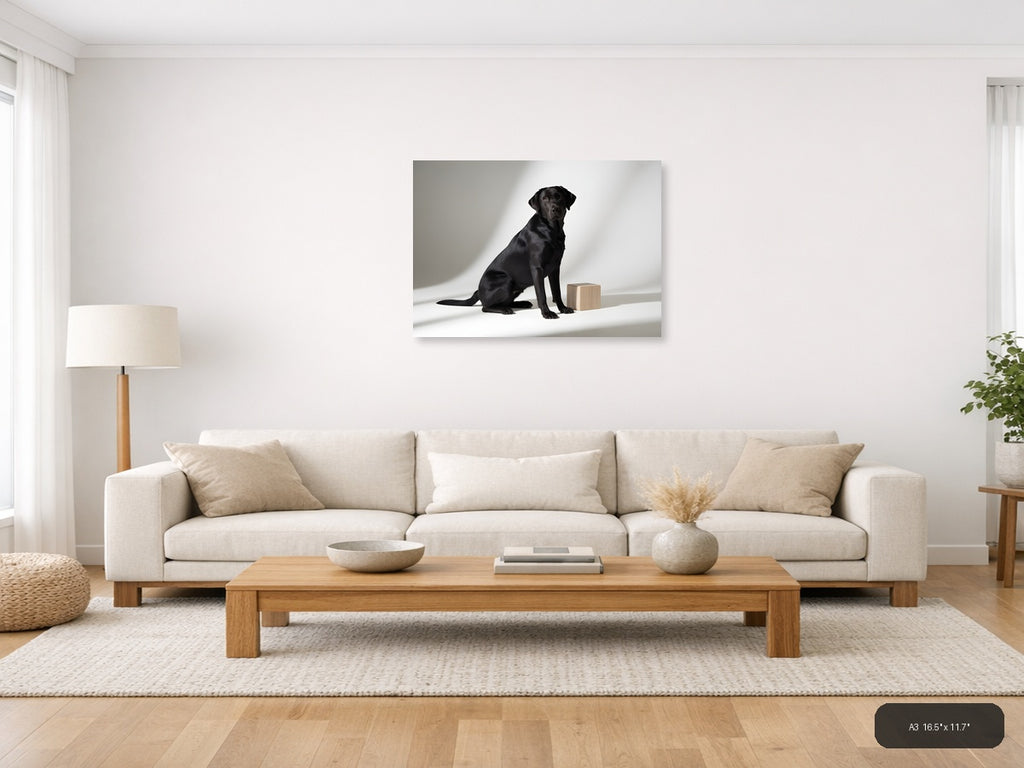 Black Labrador with Wooden Block Minimalist Wall Art — A3 / Living Room