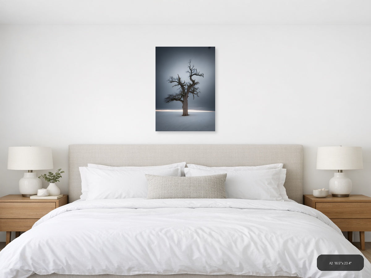 Bare Dead Tree in Snow Storm Photography Wall Art — A2 / Bedroom