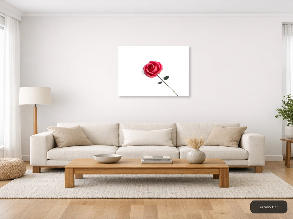 Minimalist Pink Rose on White Background Wall Art — A3 / Living Room