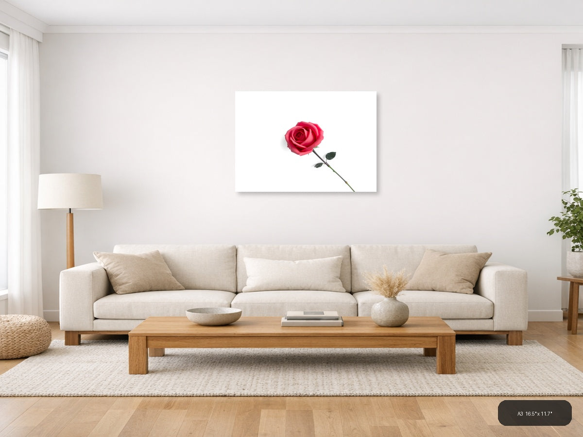 Minimalist Pink Rose on White Background Wall Art — A3 / Living Room