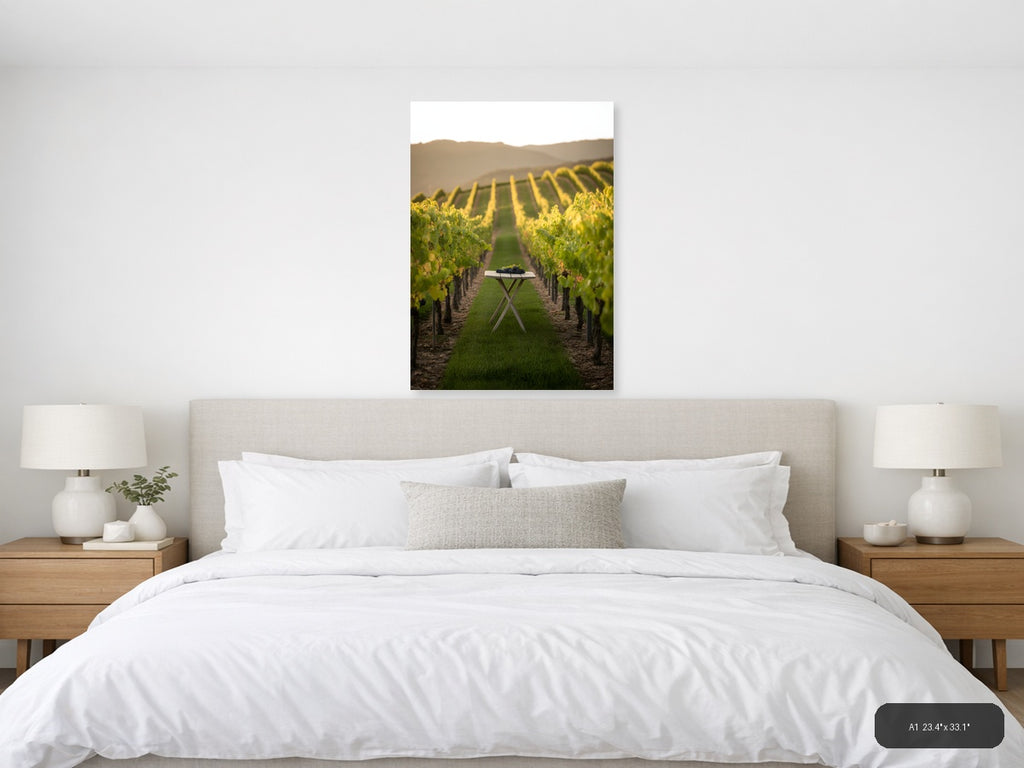 Vineyard Harvest Minimalist Photography Wall Art — A1 / Bedroom