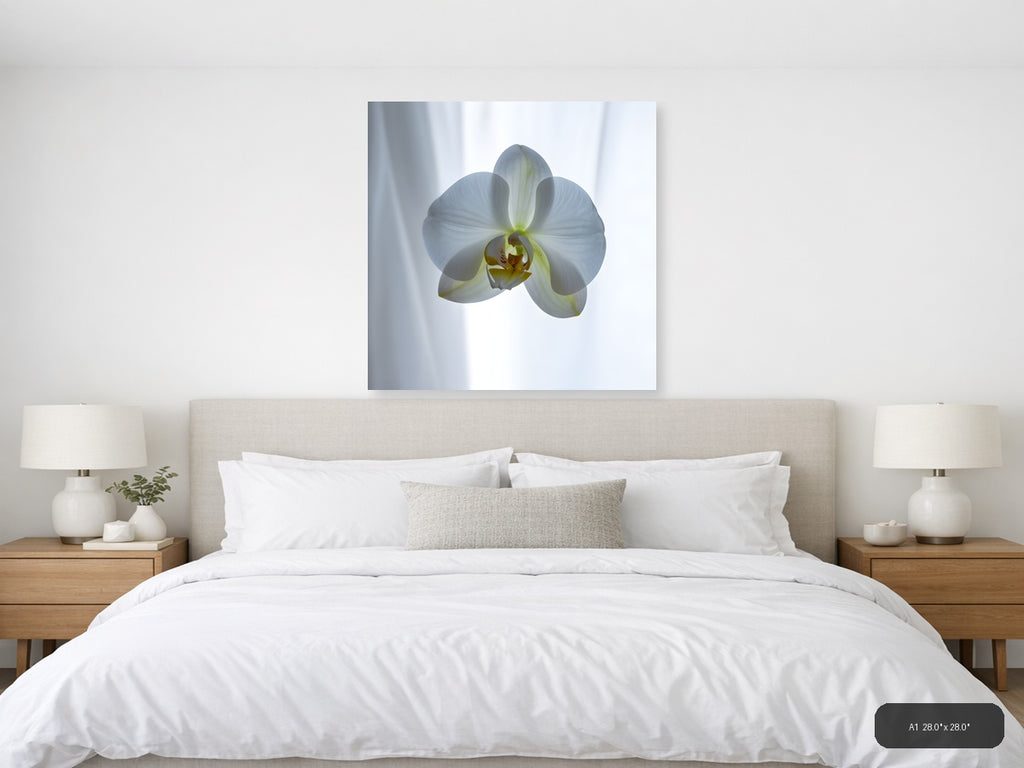 White Orchid Minimalist Botanical Wall Art — A1 / Bedroom