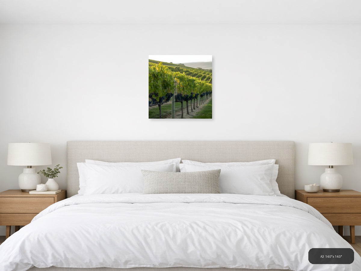 Vineyard Rows at Golden Hour - Minimalist Wall Art — A3 / Bedroom