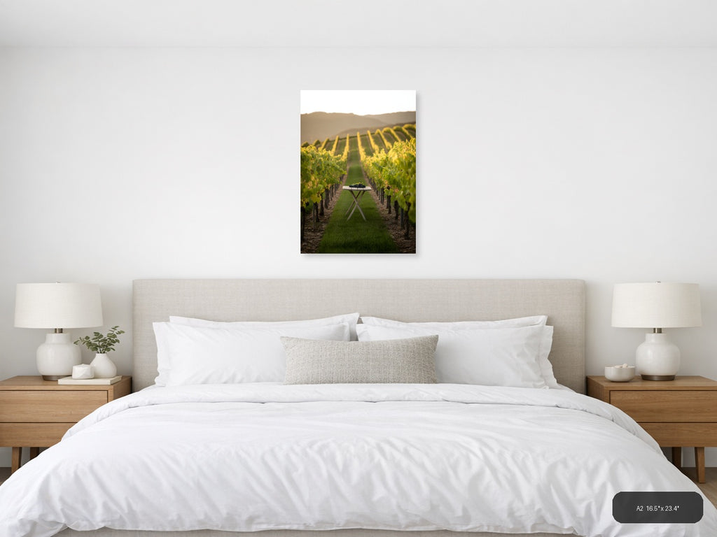 Vineyard Harvest Minimalist Photography Wall Art — A2 / Bedroom