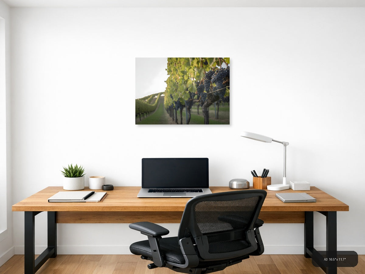 Vineyard Rows Minimalist Landscape Wall Art — A3 / Office