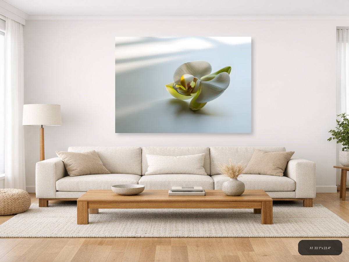 White Orchid with Yellow Center Minimalist Wall Art — A1 / Living Room