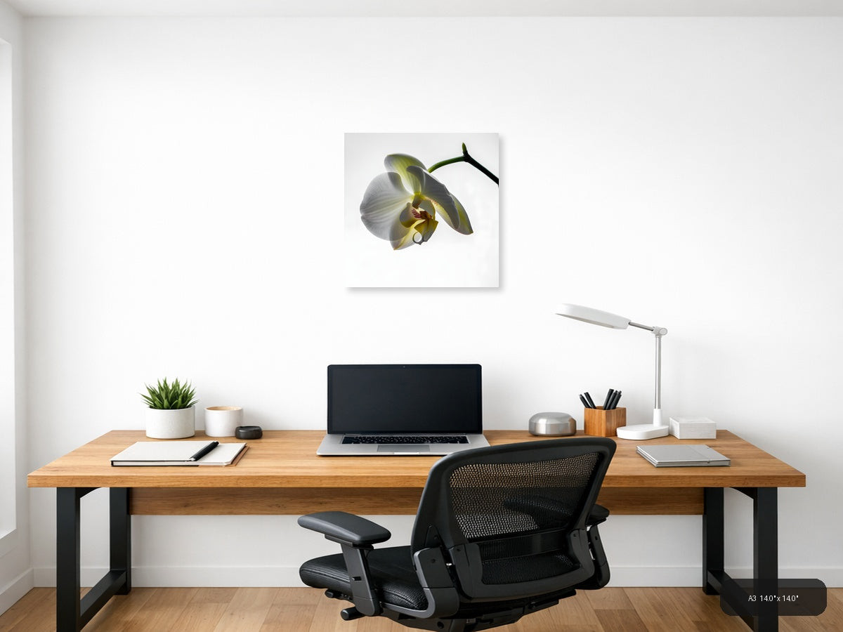 White Orchid Flower Minimalist Botanical Wall Art — A3 / Office