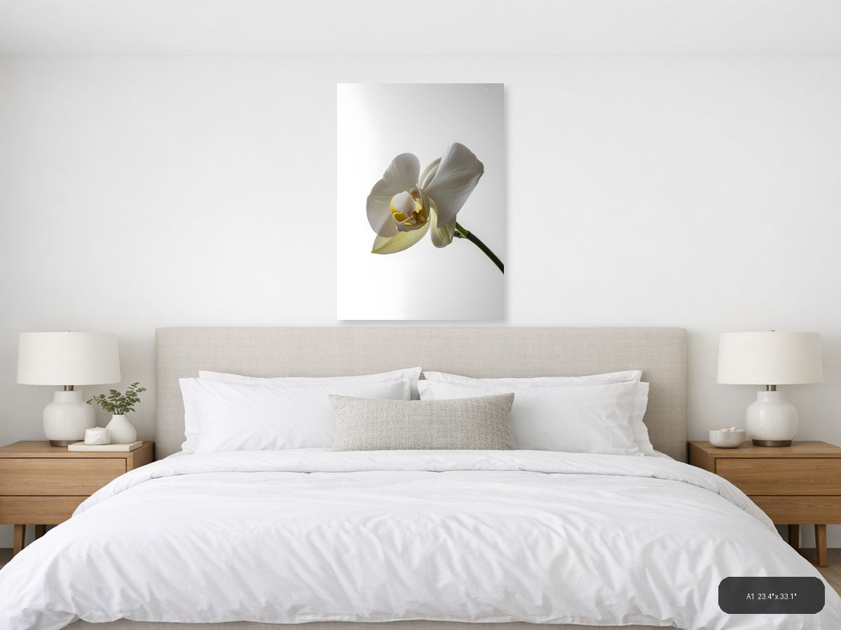 White Orchid Flower Minimalist Portrait Wall Art — A1 / Bedroom
