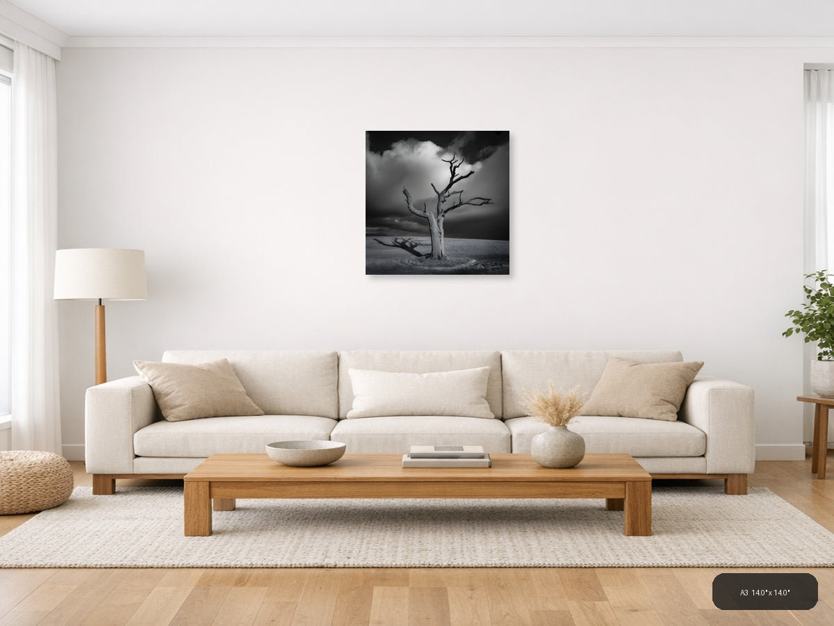 Dead Tree in Desert Landscape Black and White Photography Wall Art — A3 / Living Room
