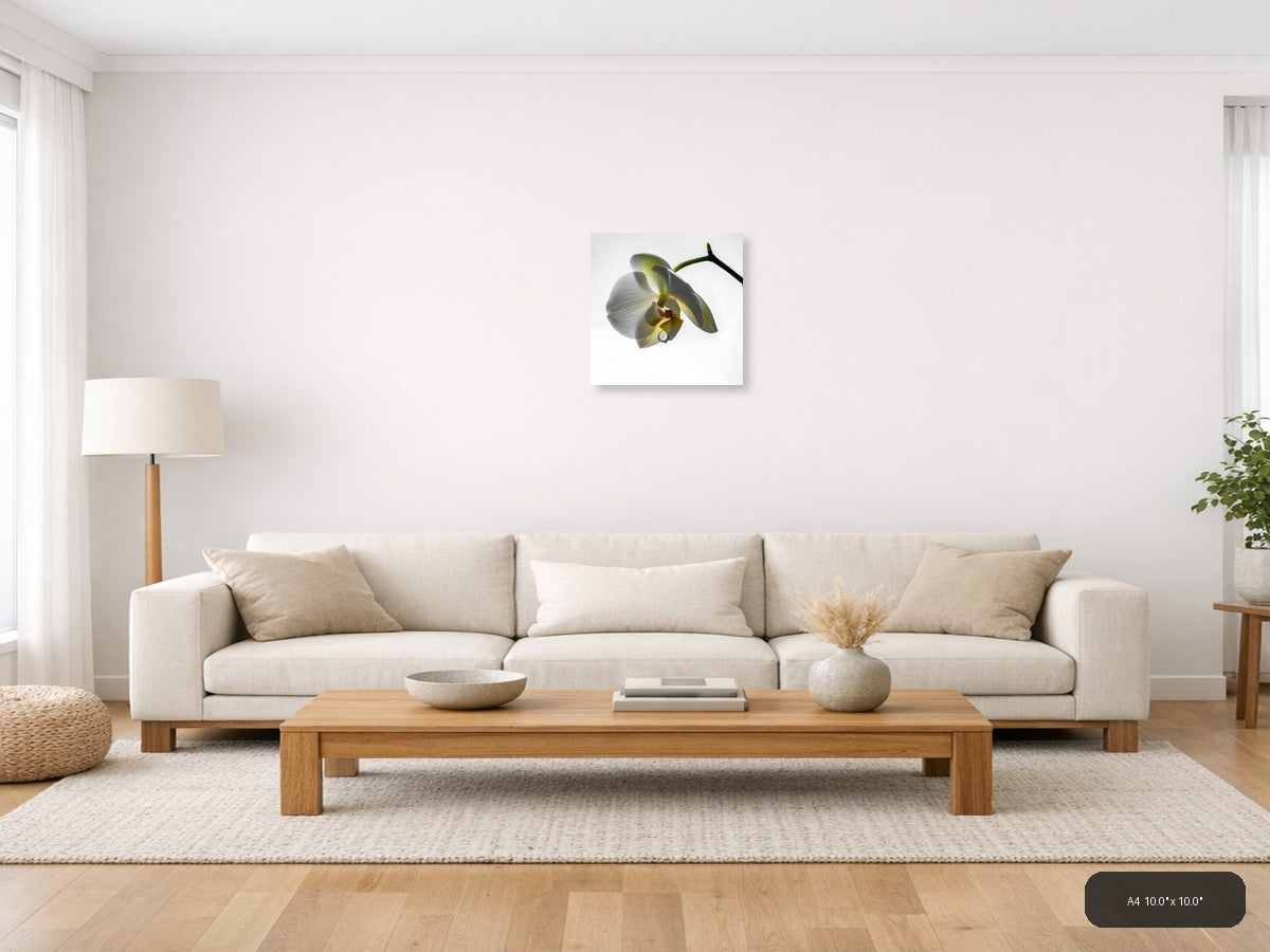 White Orchid Flower Minimalist Botanical Wall Art — A4 / Living Room