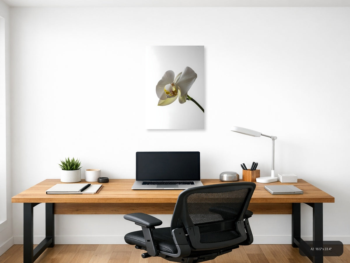 White Orchid Flower Minimalist Portrait Wall Art — A2 / Office