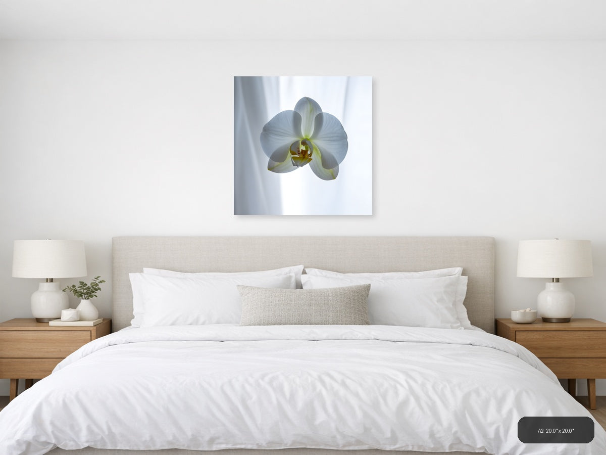 White Orchid Minimalist Botanical Wall Art — A2 / Bedroom