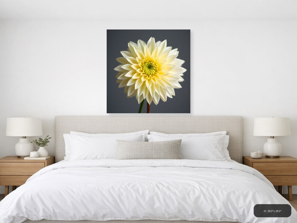 Yellow and White Dahlia Flower Minimalist Wall Art — A1 / Bedroom