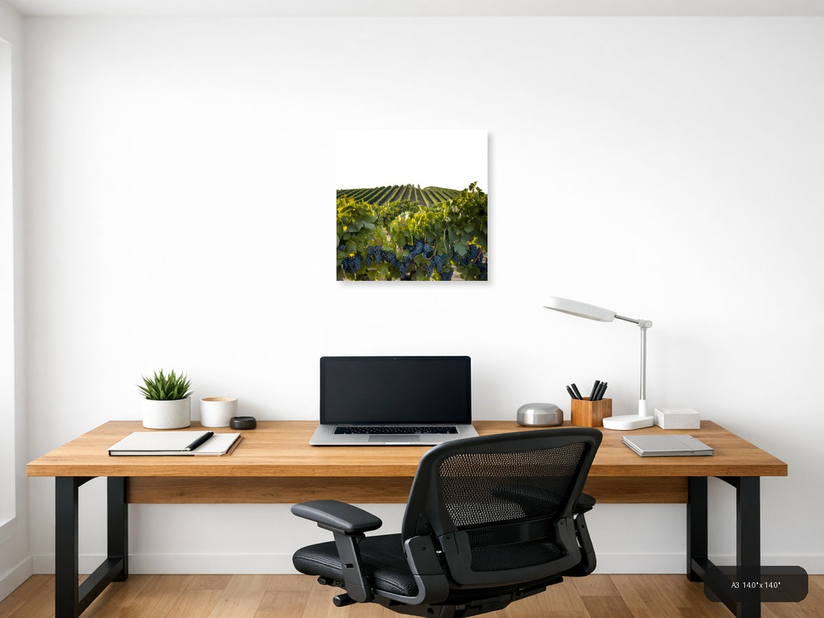 Vineyard Harvest Landscape Minimalist Wall Art — A3 / Office