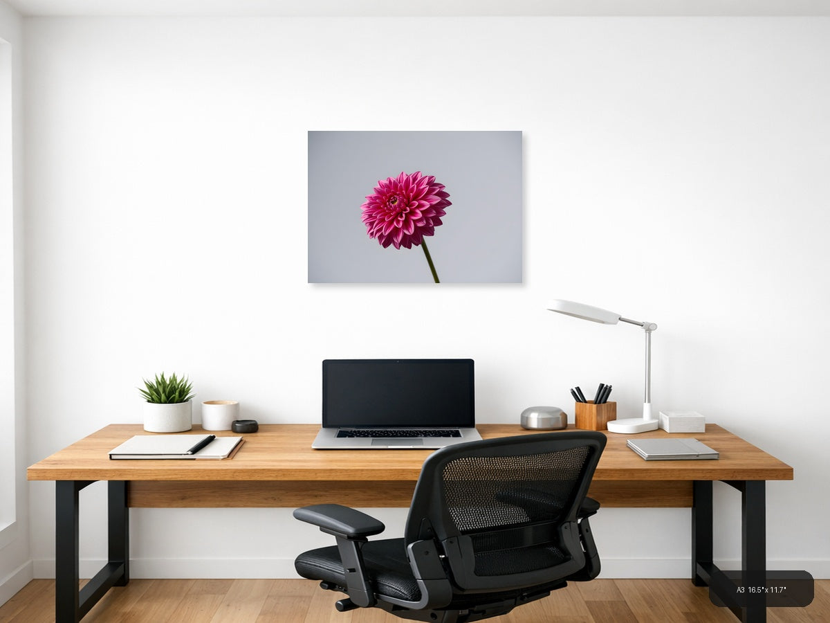 Pink Dahlia Minimalist Flower Wall Art — A3 / Office