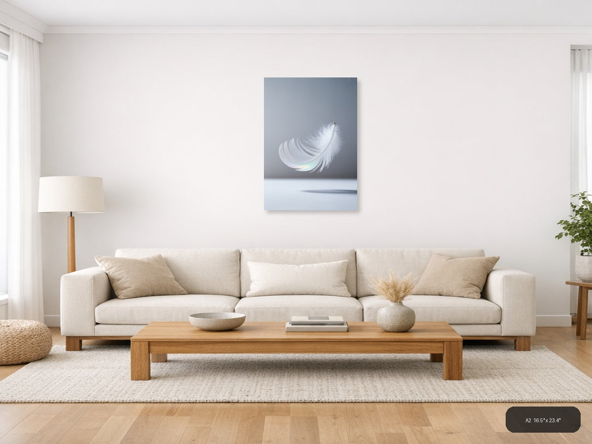 White Feather with Iridescent Light - Minimalist Wall Art — A2 / Living Room